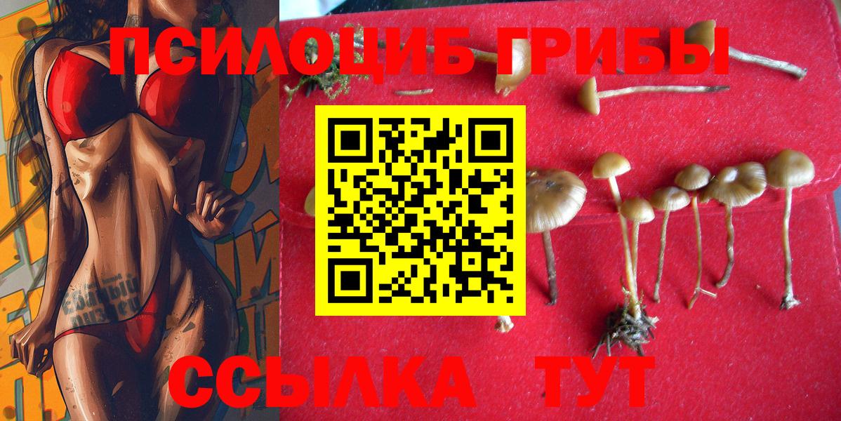 Галлюциногенные грибы мицелий  Вход с VPN  Артёмовский 